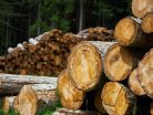 Studie INICIEN o materiálovém toku dřeva