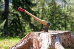 Jak vybrat kvalitní stavební dřevo krok za krokem