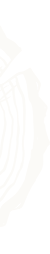 nl-back-1