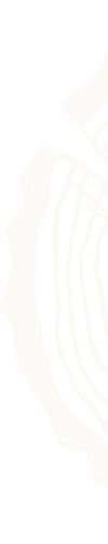 nl-back-2