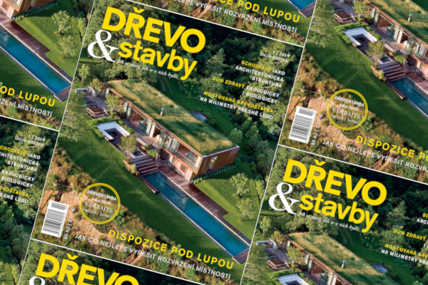newsletter-das-1-2019-img