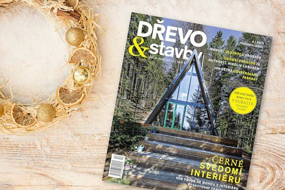 drevoastavby-casopis-titulka-6-2019-560x373