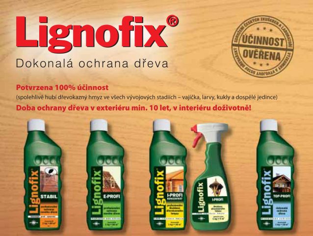 lignofix
