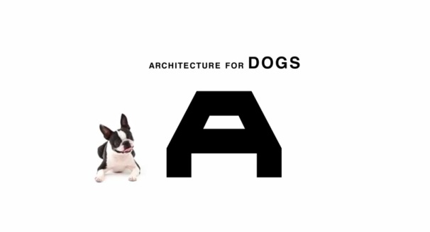 a for dogs2