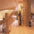 tt-loft.jpg