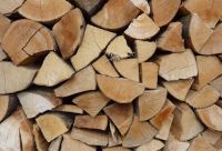 Jak topit ekologicky? Vyzkoušejte palivové dřevo