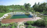 Klasické bazény na zahradách střídají přírodní koupací jezírka