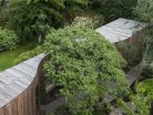 533b90a8c07a804fdc0000b3 tree-house-6a-architects tree house 5322 - 6a architects-530x353