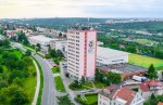 Akademie řemesel Praha: Pod našima rukama strom neumírá, ale dřevo ožívá