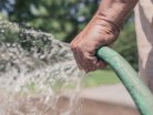 man-hand-garden-growth 800