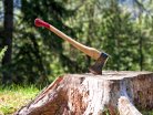 Jak vybrat kvalitní stavební dřevo