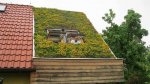 Vybudovat zelenou střechu na pergole nebo garáži zvládnete i svépomocí