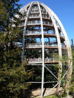 44 metrů vysoká rozhledna na Stezce v korunách stromů