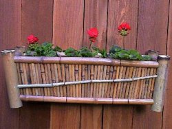 Bamboo-Window-Box-1259909234-0