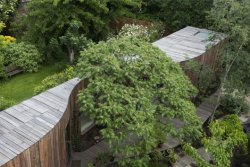 533b90a8c07a804fdc0000b3 tree-house-6a-architects tree house 5322 - 6a architects-530x353