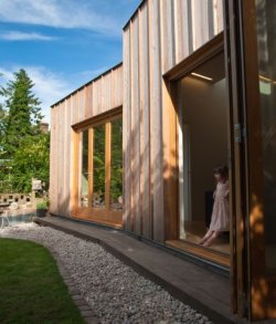 Timber Fin House - Neil Dusheiko Architects