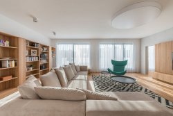 moderni-interier-obyvaci-pokoj-drevena-podlaha-koberec-velka-sedacka-knihovna