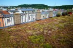 6 důvodů pro zelenou střechu