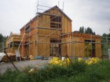Penatus_19