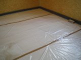 Penatus_29
