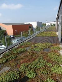 Realizace zelené střechy 2