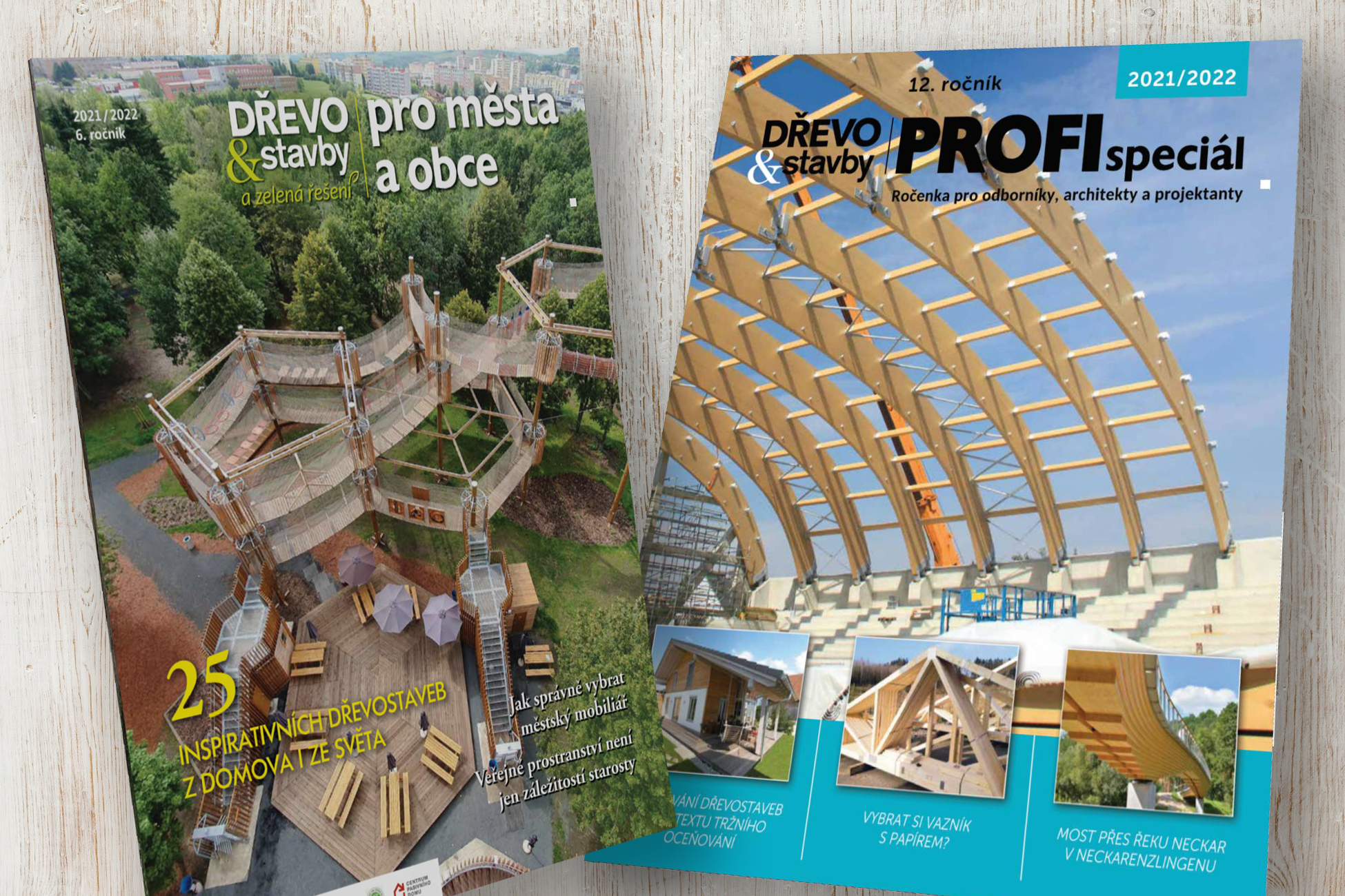 profispecial-ds-pro-mesta-a-obce-2020-2021