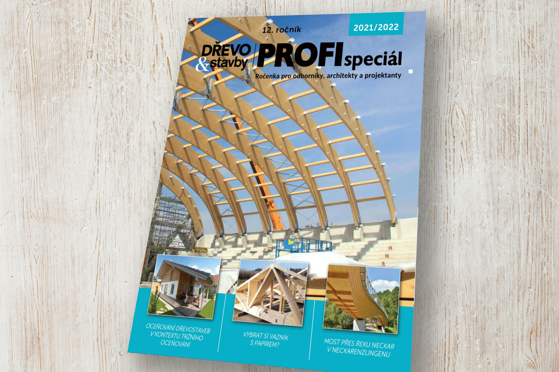 profispecial-2020-2021-titul
