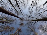 2 foto LP Křivoklátsko ok