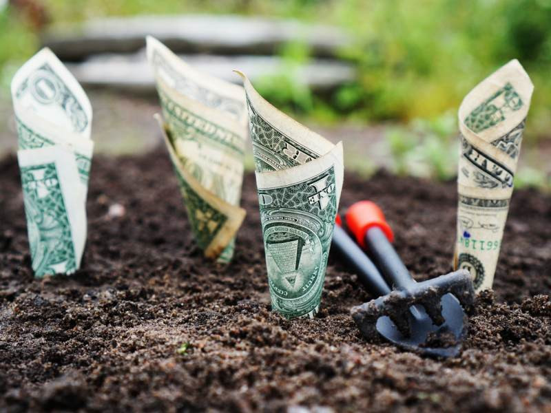 pexels-photo-164474 800