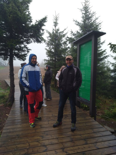 drevoastavby a jednatelé