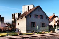 Se dřevem do výšky