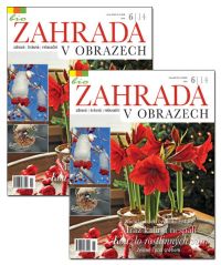 Tandem - dárek, který se vyplatí!