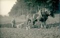 Historie zemědělství