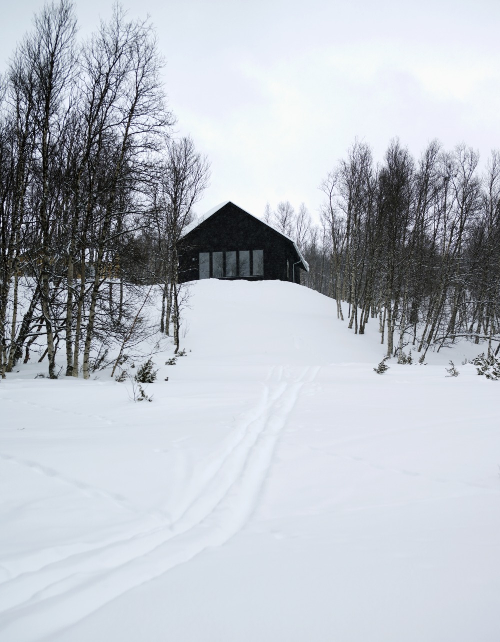 pS fjällhus 1