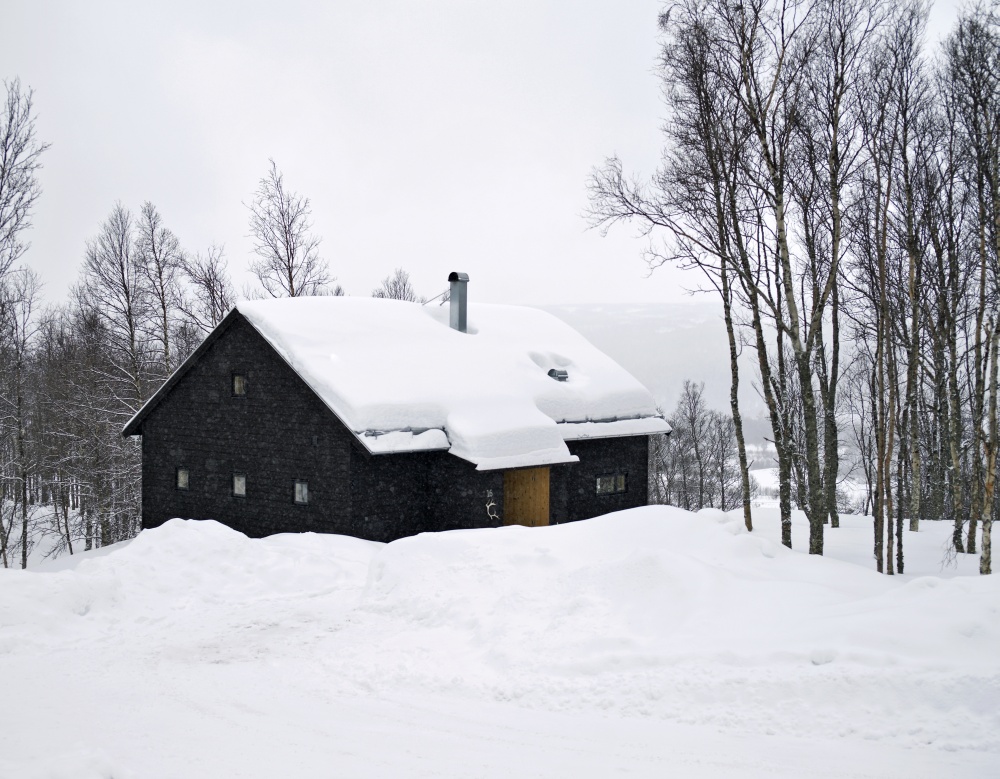 pS fjällhus 2