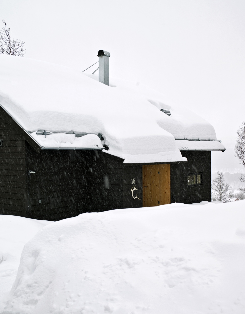 pS fjällhus 3