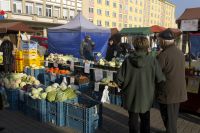 Mladí Češi si půjčí půl miliardy ročně - na chalupy!