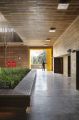 Palhano Ecomarket - Studio Guilherme Torres  