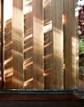 Timber Fin House - Neil Dusheiko Architects
