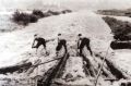 Plavci u příďových vesel při proplouvání propusti v Letoštici na Vltavě, kolem r. 1958