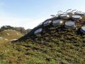 California Academy of Sciences. Renzo Piano