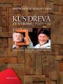 kus-dreva-ze-stromu-poznani