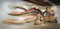 Boulder Museum of Contemporary Art, Boulder