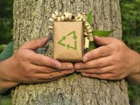 Dřevostavby pomáhají zbavit planetu uhlíku