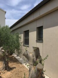 IMG 7987