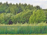 dreamstime m_97608512_ilustra_pozemek