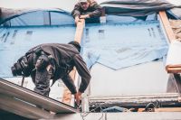 10 IMG 2349