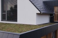 08 DSC09896