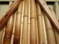 72strechanatrena_napulP1010275