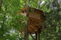 Bydlení v korunách stromů na zkoušku
